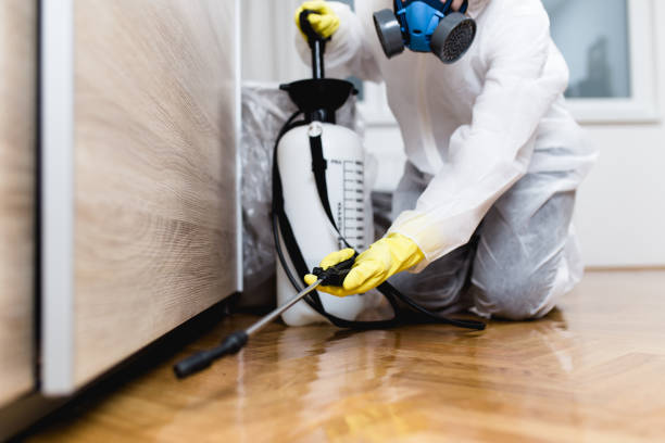 Best Bed Bug Extermination  in Owosso, MI
