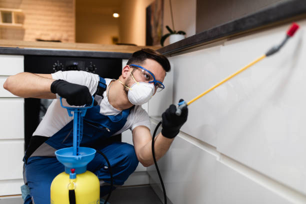 Best Wasp Removal Services  in Owosso, MI