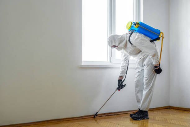 Best Pest Prevention Services  in Owosso, MI
