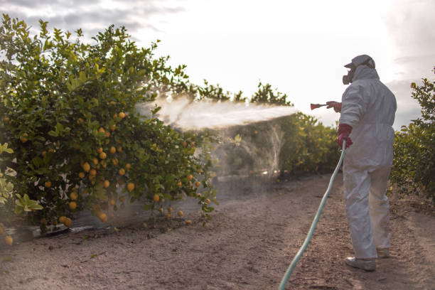 Best Cockroach Control Services  in Owosso, MI