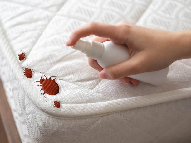 Best Flea Control Services  in Owosso, MI